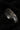 aged ancient ruins fantasy ring
