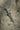 dark moon greatsword elden ring dark souls