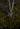 necromancy of thay pendant bg3 baldur's gate 3