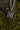 necromancy of thay pendant bg3 baldur's gate 3