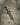 dark moon greatsword elden ring dark souls